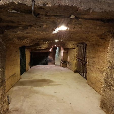 Chateau Fleur De Roques - Puisseguin Saint Emilion Екстериор снимка