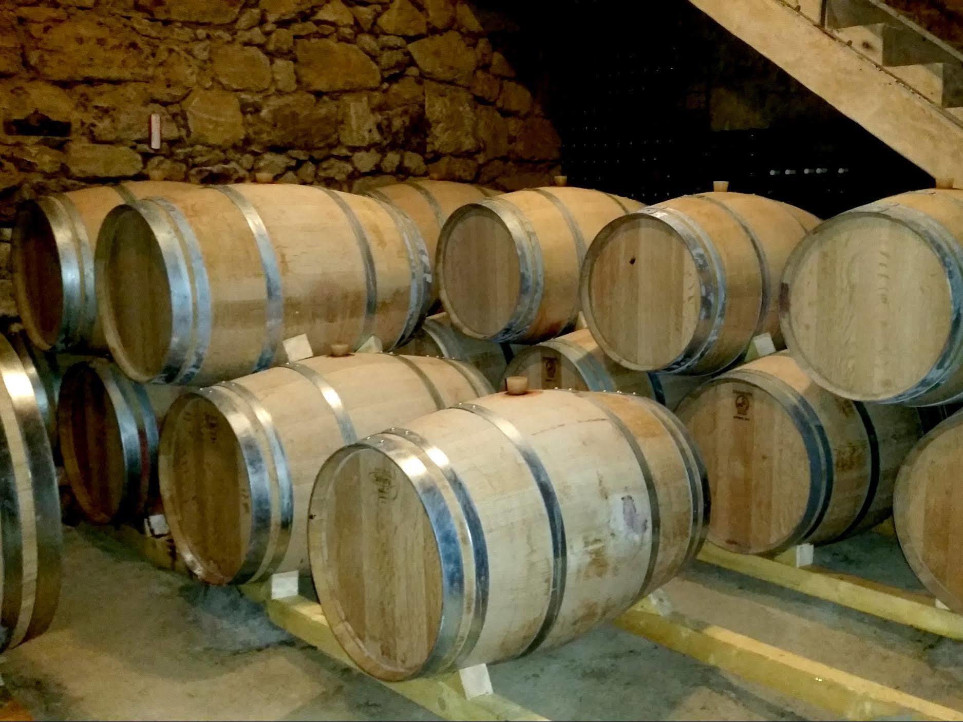 Chateau Fleur De Roques - Puisseguin Saint Emilion Екстериор снимка